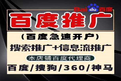 竞价广告策略案例分析